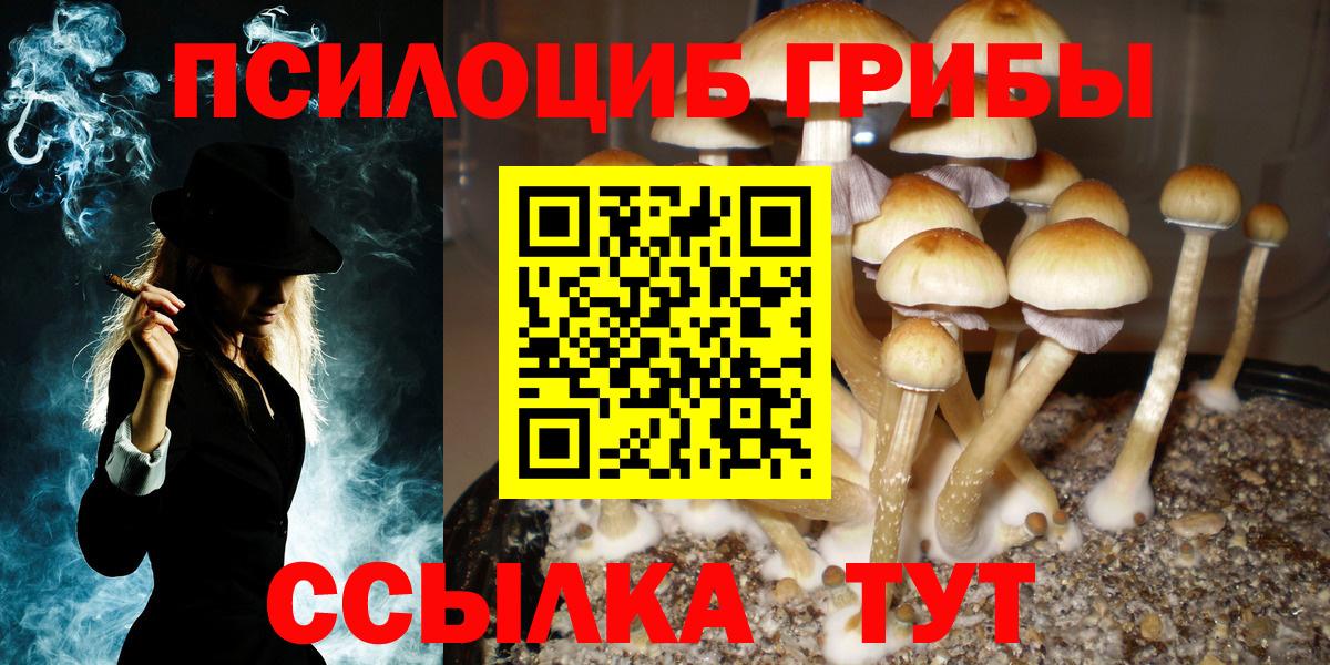 Галлюциногенные грибы прущие грибы Кинешма