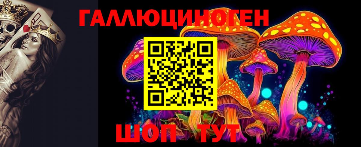 Галлюциногенные грибы GOLDEN TEACHER  Галлюциногенные грибы мухоморы  Кинешма  Вход с VPN 
